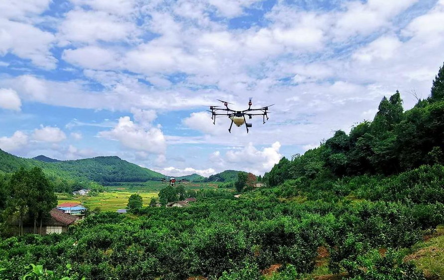 改裝無(wú)人機(jī)解決果樹農(nóng)藥低效問(wèn)題 四川果農(nóng)轉(zhuǎn)型成“飛手”(圖1)