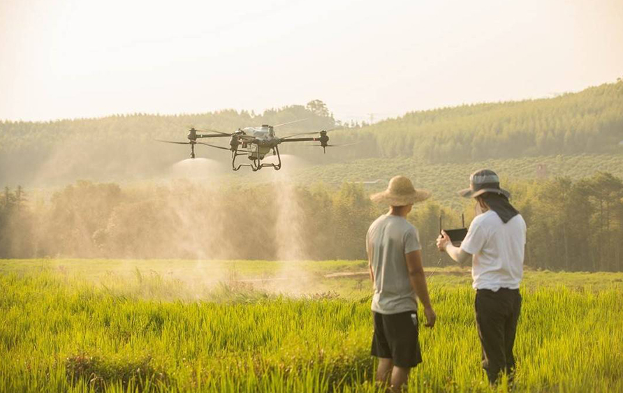 改裝無(wú)人機(jī)解決果樹農(nóng)藥低效問(wèn)題 四川果農(nóng)轉(zhuǎn)型成“飛手”(圖2)