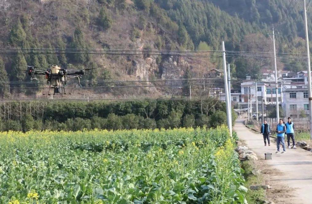 農(nóng)用無人機助力江口縣春耕工作順利進行(圖1)