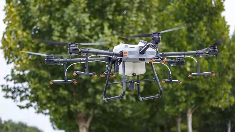 無人機(jī)消殺美國(guó)白蛾 防止蛾蛹入土越冬(圖1)